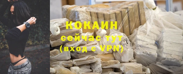 прущие грибы Арсеньев