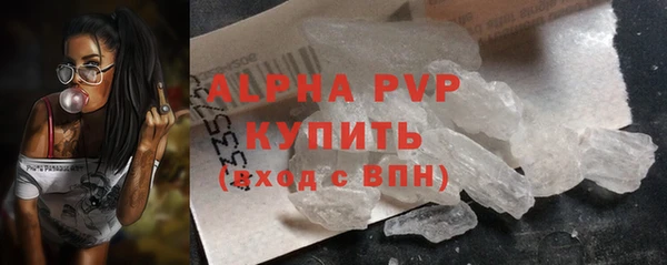 прущие грибы Арсеньев