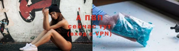 прущие грибы Арсеньев