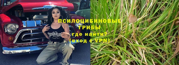 прущие грибы Арсеньев
