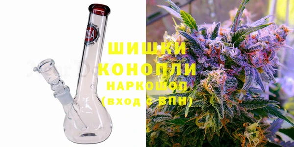 прущие грибы Арсеньев