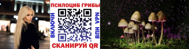 Псилоцибиновые грибы прущие грибы  Мураши 