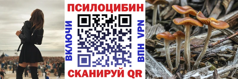 Псилоцибиновые грибы Psilocybine cubensis Мураши