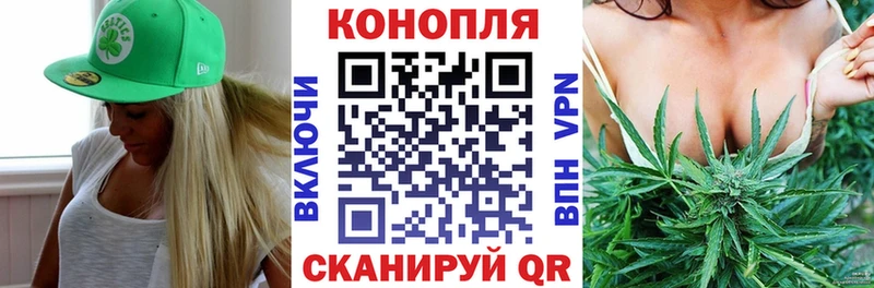 как найти закладки  Мураши  Шишки марихуана сатива 